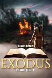 Exodus 3